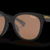 Pittsburgh Steelers Low Key<Oakley Sale