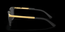 Side Swept<Oakley Shop