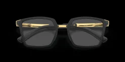 Side Swept<Oakley Shop
